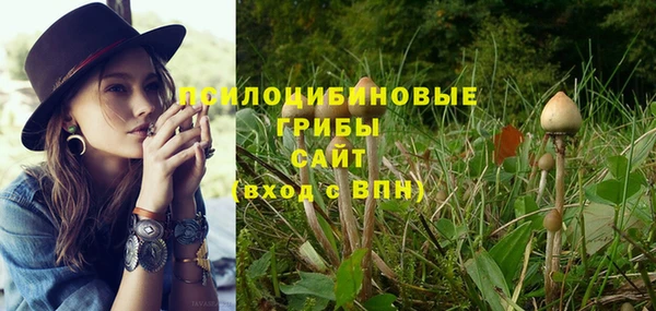 экстази Арсеньев