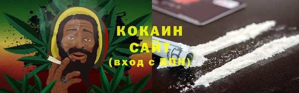 ECSTASY Алзамай