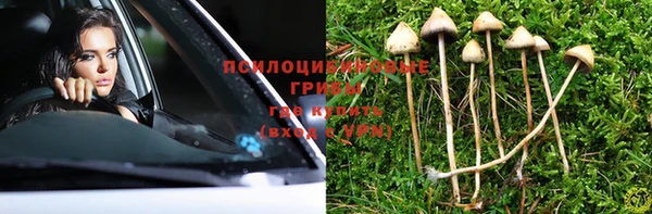 экстази Арсеньев